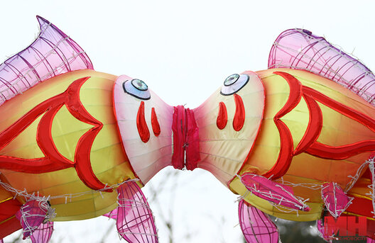 img_5749_kopiya_900x584.jpg img_5749_kopiya_900x584.jpg