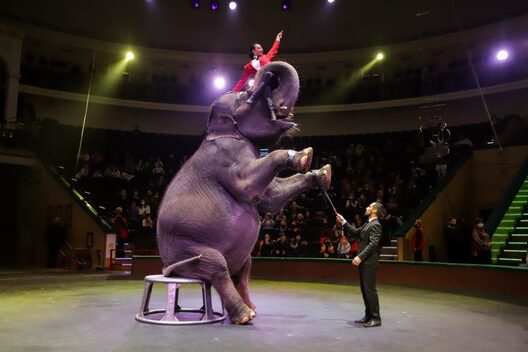 img_6954_900x600_1.jpg img_6954_900x600_1.jpg