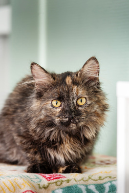 img_7847_1_logo.jpg img_7847_1_logo.jpg