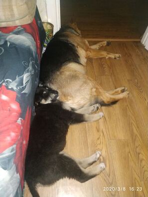 img_7859fb4654155b23d024e23b34b30373_v_logo.jpg img_7859fb4654155b23d024e23b34b30373_v_logo.jpg