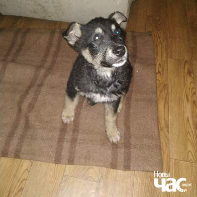 img_8621ac323f842107d41f5b56ad859544_v_logo.jpg img_8621ac323f842107d41f5b56ad859544_v_logo.jpg