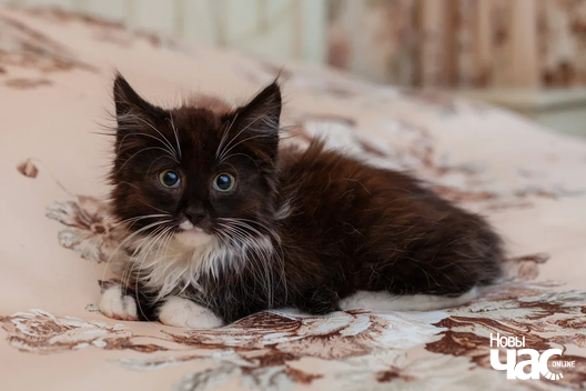 img_8806_logo.jpg img_8806_logo.jpg