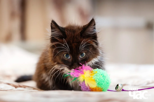 img_8843_logo.jpg img_8843_logo.jpg