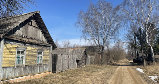 Беларуская вёска: Чым жыве?