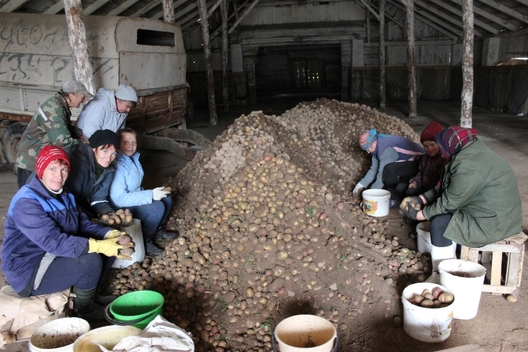 Фота www.d-p.by Фота www.d-p.by