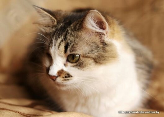 img_f6cd234b4bda47be6d0f8ce0bf96abb4_v.jpg img_f6cd234b4bda47be6d0f8ce0bf96abb4_v.jpg