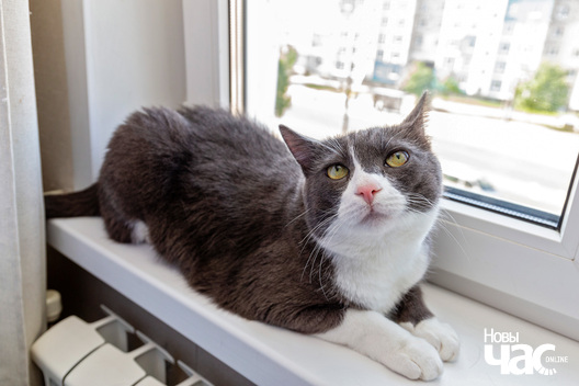 9/9 imgl2140_logo.jpg