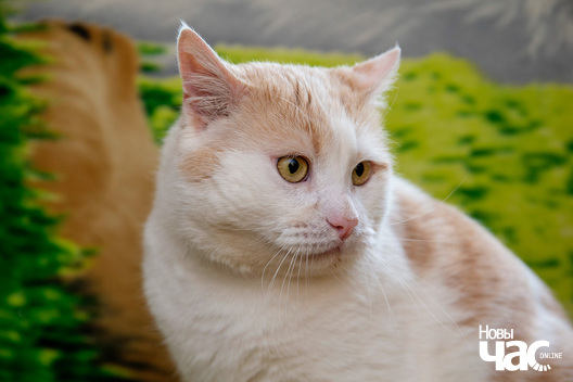 5/5 imgl5786_logo.jpg