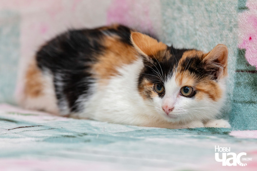 2/8 imgl6783_logo.jpg