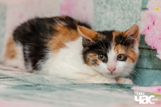 3/8 imgl6785_logo.jpg