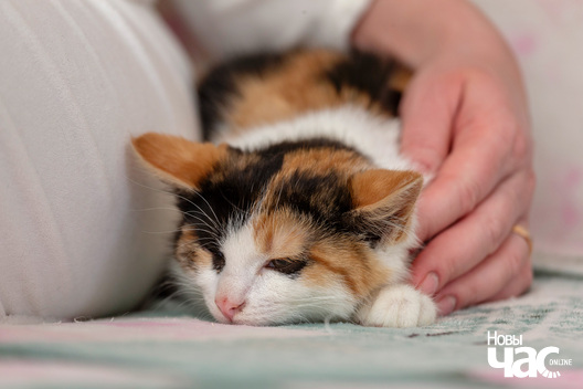 imgl6788_logo.jpg imgl6788_logo.jpg