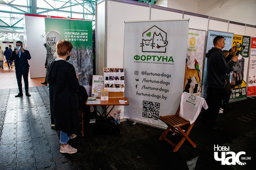 24/25 imgl8080_logo.jpg