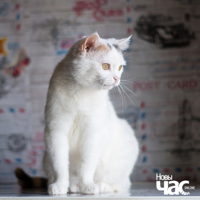 4/7 imgp0895_9_1_logo.jpg