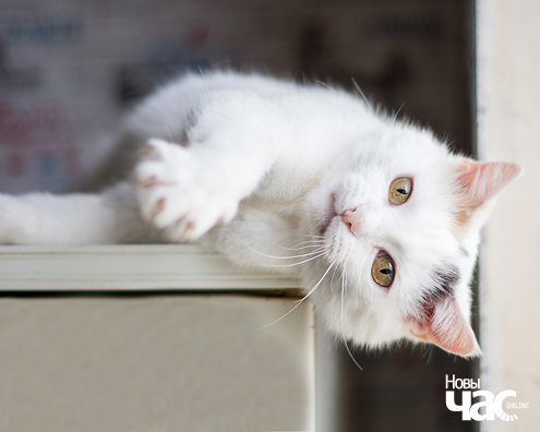 imgp0918_19_1_logo.jpg imgp0918_19_1_logo.jpg