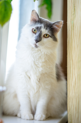 3/3 imgp1638_4_1_logo.jpg