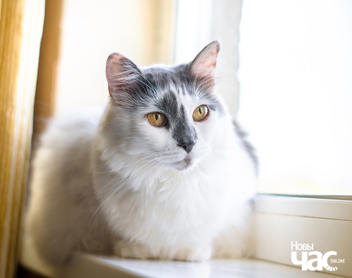 imgp1655_5_1_logo.jpg imgp1655_5_1_logo.jpg