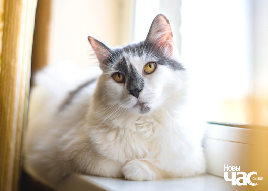 1/3 imgp1664_6_1_logo.jpg