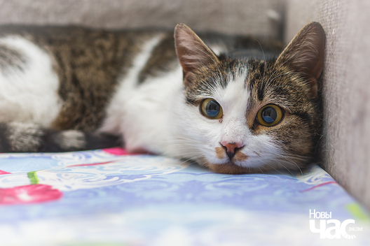 imgp3660_2_1_logo.jpg imgp3660_2_1_logo.jpg