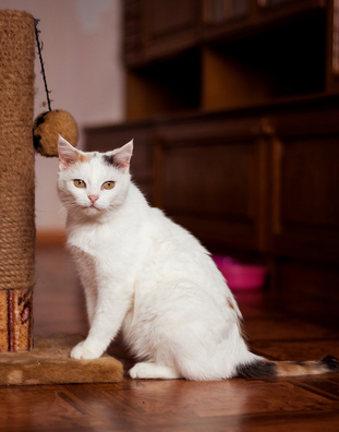 5/7 imgp8234_1_logo.jpg