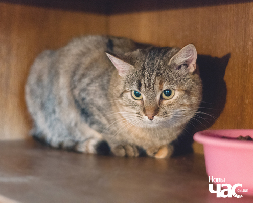 imgp9030_20_1_logo.jpg imgp9030_20_1_logo.jpg