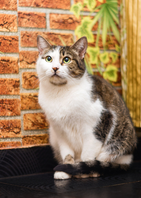 imgp9050_12_1_logo.jpg imgp9050_12_1_logo.jpg