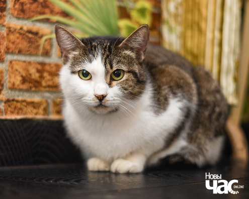 imgp9062_19_1_logo.jpg imgp9062_19_1_logo.jpg