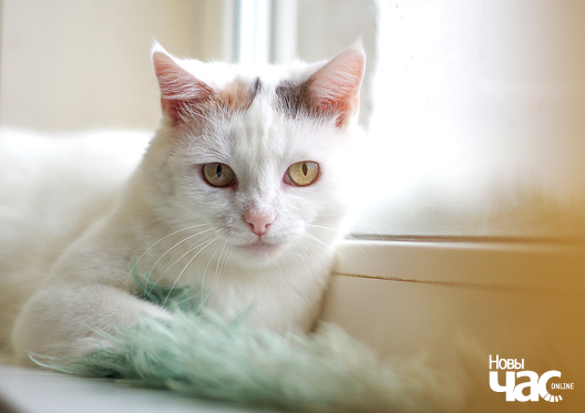 3/7 imgp9065_15_1_logo.jpg