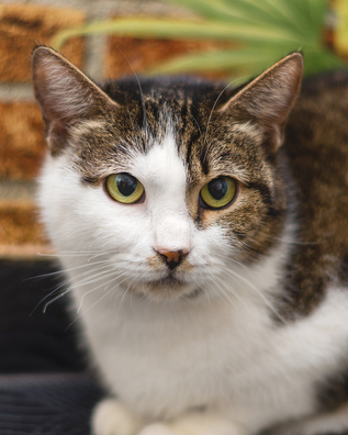 imgp9066_23_1_logo.jpg imgp9066_23_1_logo.jpg