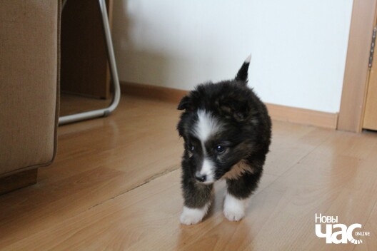 8/8 izobrazenie_viber_2020_04_19_16_10_35_logo.jpg