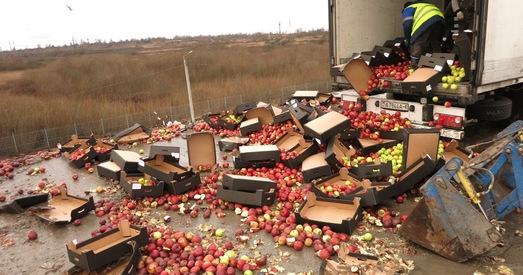 Садаводаў чакае кіслы год?