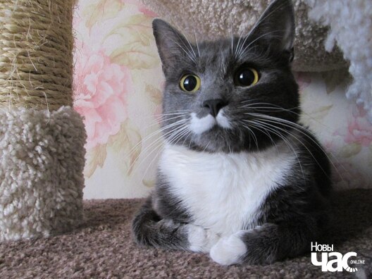 k319ztrl70g_logo.jpg k319ztrl70g_logo.jpg