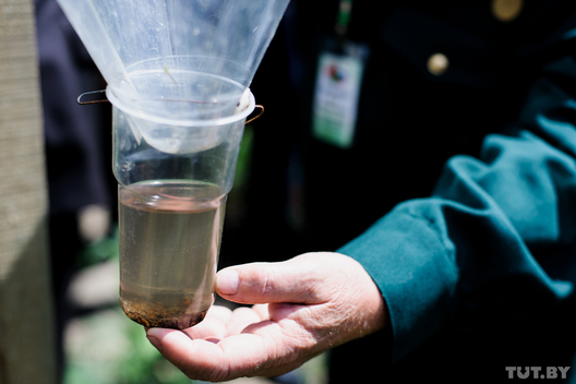 karaed_6.jpg karaed_6.jpg