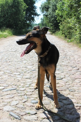 klwz9kfjono_logo.jpg klwz9kfjono_logo.jpg