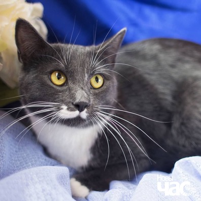 knlqwchw4f0_logo.jpg knlqwchw4f0_logo.jpg