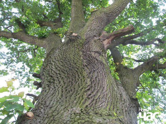 kobryn_dub_4_logo.jpg kobryn_dub_4_logo.jpg