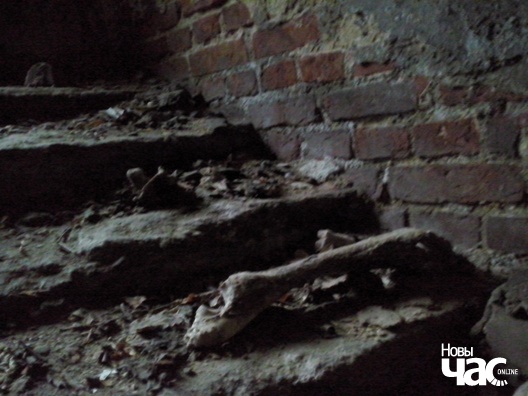 Косці былых гаспадароў ваколіцаў — паноў Рдултоўскіх — раскіданыя ўнутры капліцы-пахавальні Косці былых гаспадароў ваколіцаў — паноў Рдултоўскіх — раскіданыя ўнутры капліцы-пахавальні