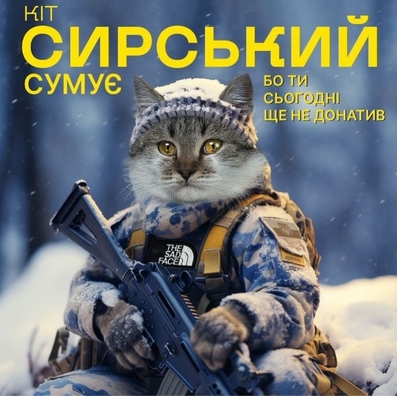 Кот Сырскі. Фота Instagram @syrsky_outofcontent Кот Сырскі. Фота Instagram @syrsky_outofcontent