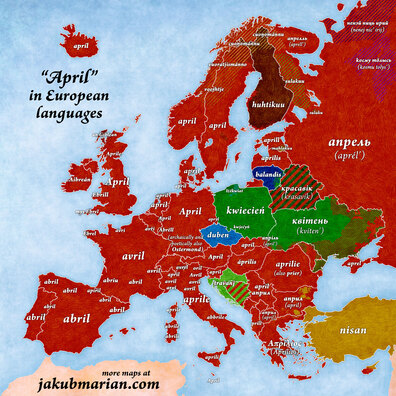 krasavik_2.jpg krasavik_2.jpg