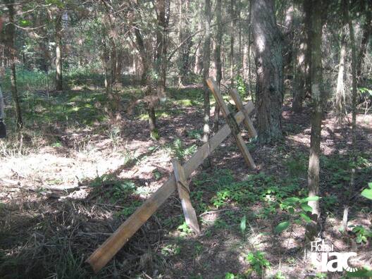 1/6 kryzy_001_logo.jpg