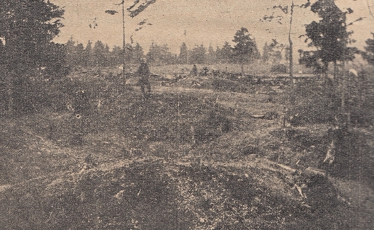 Курганы Курганы