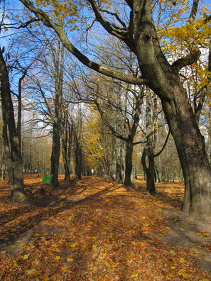 Паркавая алея Паркавая алея