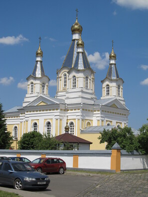 Свята-Аляксандра-Неўскі сабор у Кобрыне ўзведзены за кошт кантрыбуцыі з удзельнікаў паўстання 1863-64 гадоў Свята-Аляксандра-Неўскі сабор у Кобрыне ўзведзены за кошт кантрыбуцыі з удзельнікаў паўстання 1863-64 гадоў