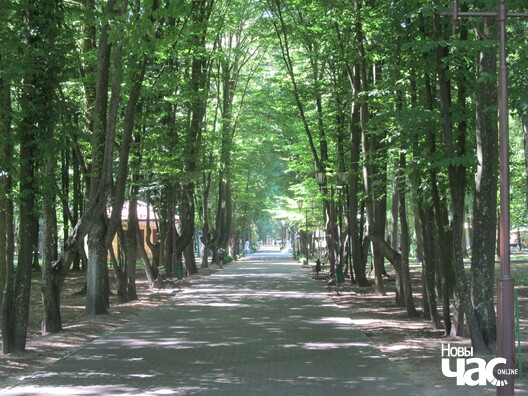 3/4 kzpsrt_k55_logo.jpg