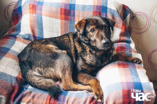 kzxchyy0vhs_logo.jpg kzxchyy0vhs_logo.jpg