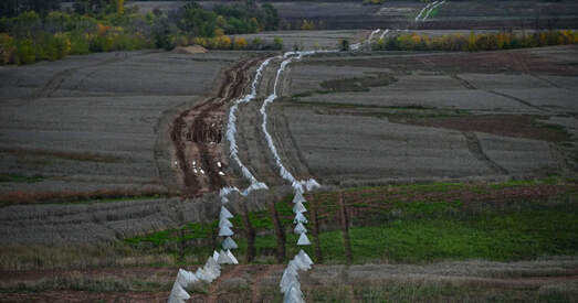 На Гомельшчыне будуюцца супрацьтанкавыя ўмацаванні. Баяцца ўкраінскага контрнаступу?