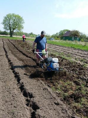 lys2_logo.jpg lys2_logo.jpg