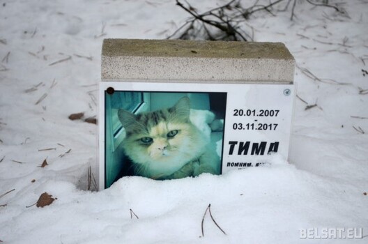 Нягледзячы на тое, што пахаванні жывёлаў незаконныя, рытуальныя фірмы вырабляюць помнікі, памятныя шыльды – усё, што пажадае кліент Нягледзячы на тое, што пахаванні жывёлаў незаконныя, рытуальныя фірмы вырабляюць помнікі, памятныя шыльды – усё, што пажадае кліент