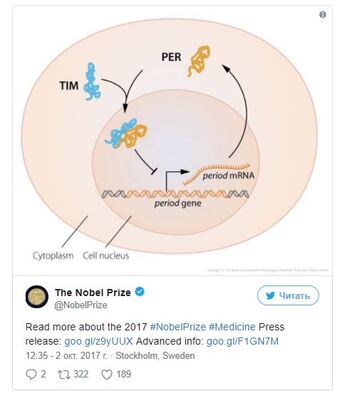 nobel2_1.jpg nobel2_1.jpg