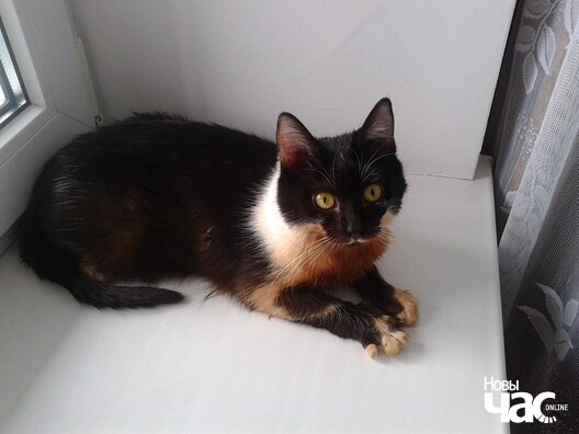 nojhgdxbq4u_logo.jpg nojhgdxbq4u_logo.jpg