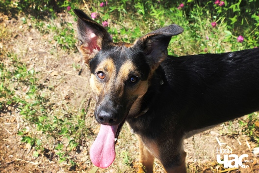 ojlpjx8iw5u_logo.jpg ojlpjx8iw5u_logo.jpg